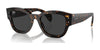 Ray-Ban JORGE RB7681SF Sunglasses | Size 52 / Havana №902/48 / Black (Polarized) (3P 11.40%)