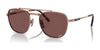 Ray-Ban FRANK II TITANIUM RB8258 Sunglasses | Size 54 / Rose Gold №3140AF / Dark Violet (Polarized) (3P 12.5%)