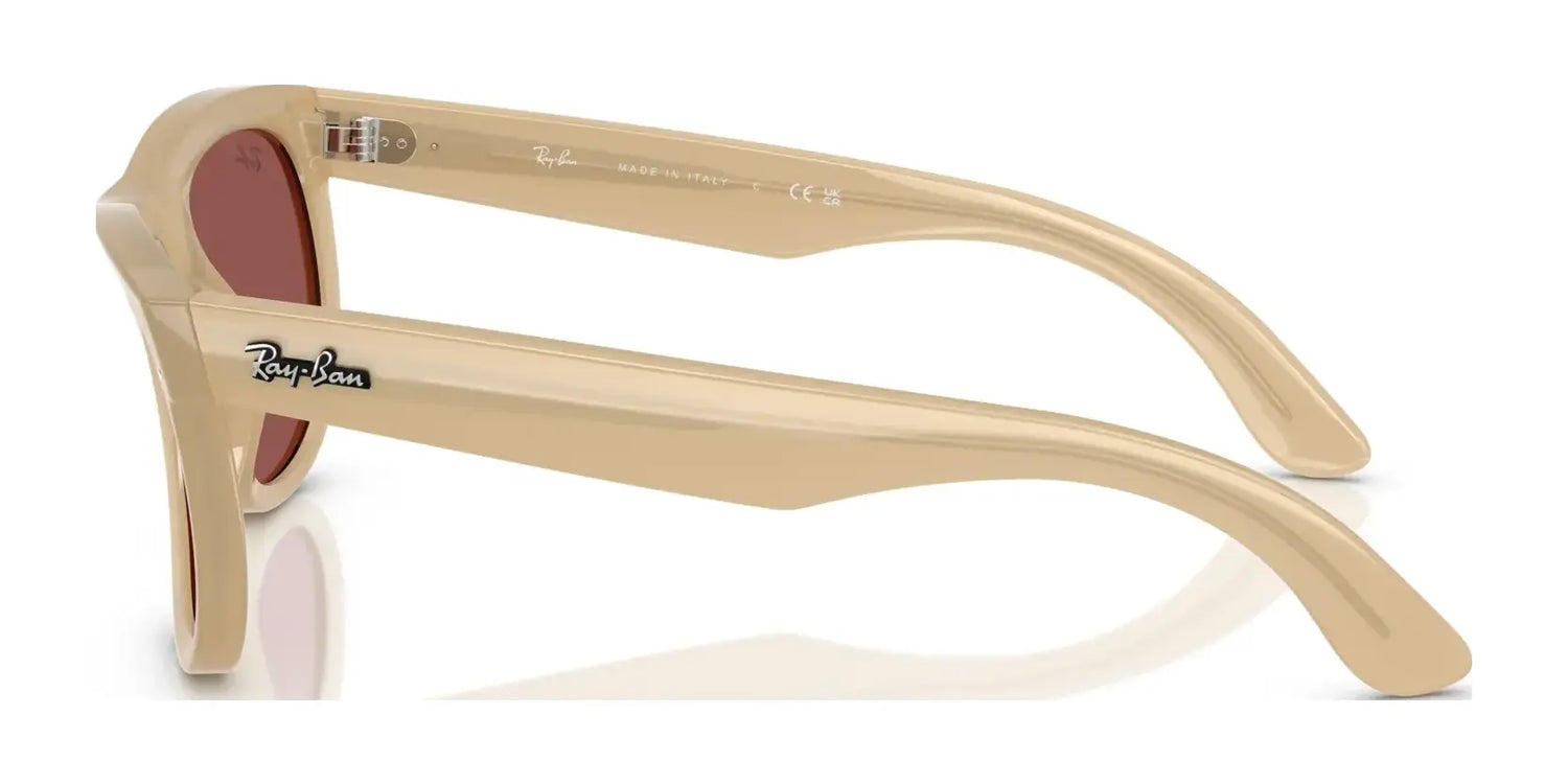 Ray-Ban WAYFARER REVERSE RBR0502S Sunglasses Ray-Ban WAYFARER REVERSE RBR0502S Sunglasses