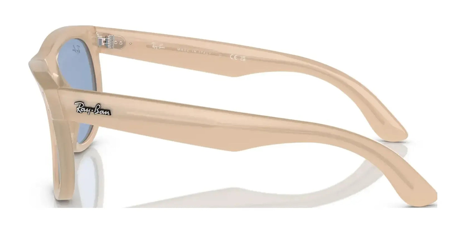 Ray-Ban WAYFARER REVERSE RBR0502S Sunglasses Ray-Ban WAYFARER REVERSE RBR0502S Sunglasses