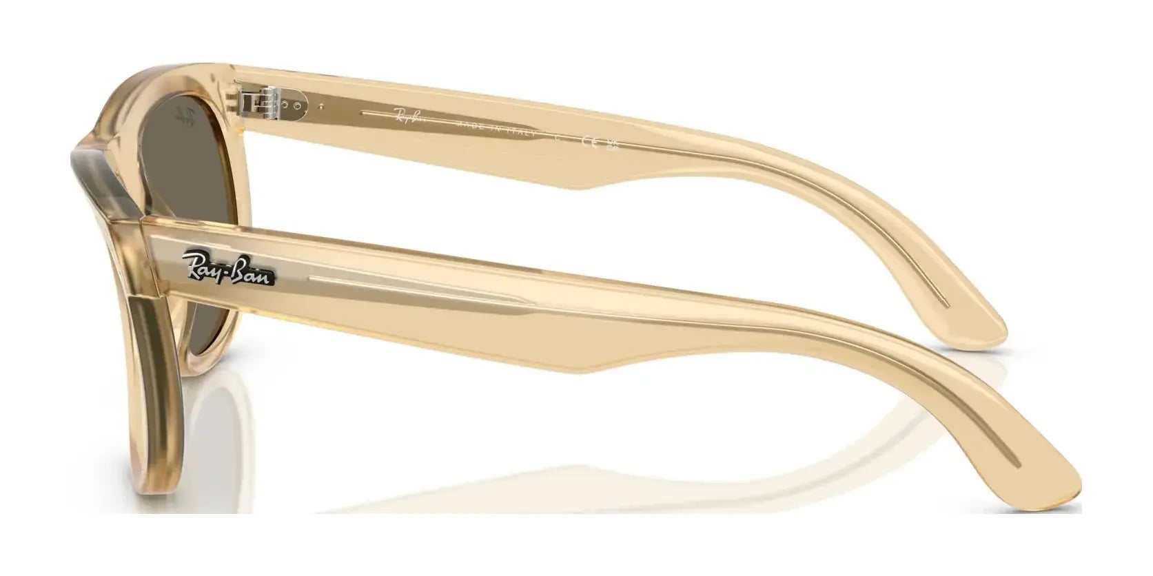 Ray-Ban WAYFARER REVERSE RBR0502S Sunglasses Ray-Ban WAYFARER REVERSE RBR0502S Sunglasses