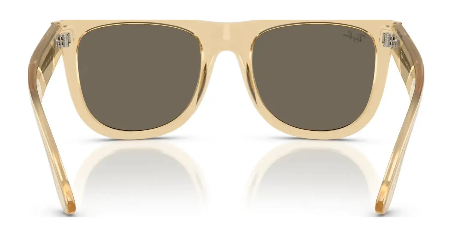 Ray-Ban WAYFARER REVERSE RBR0502S Sunglasses Ray-Ban WAYFARER REVERSE RBR0502S Sunglasses