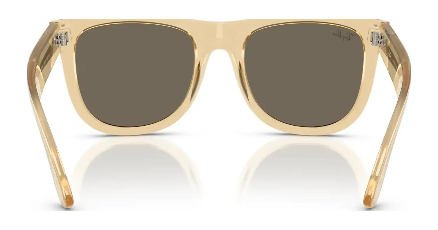 Ray-Ban WAYFARER REVERSE RBR0502S Sunglasses Ray-Ban WAYFARER REVERSE RBR0502S Sunglasses