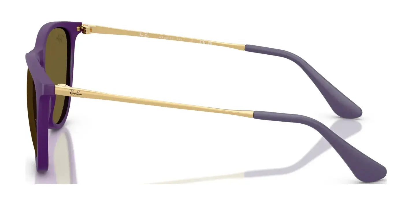Ray-Ban JUNIOR ERIKA RJ9060SF Sunglasses | Size 52 Ray-Ban JUNIOR ERIKA RJ9060SF Sunglasses | Size 52