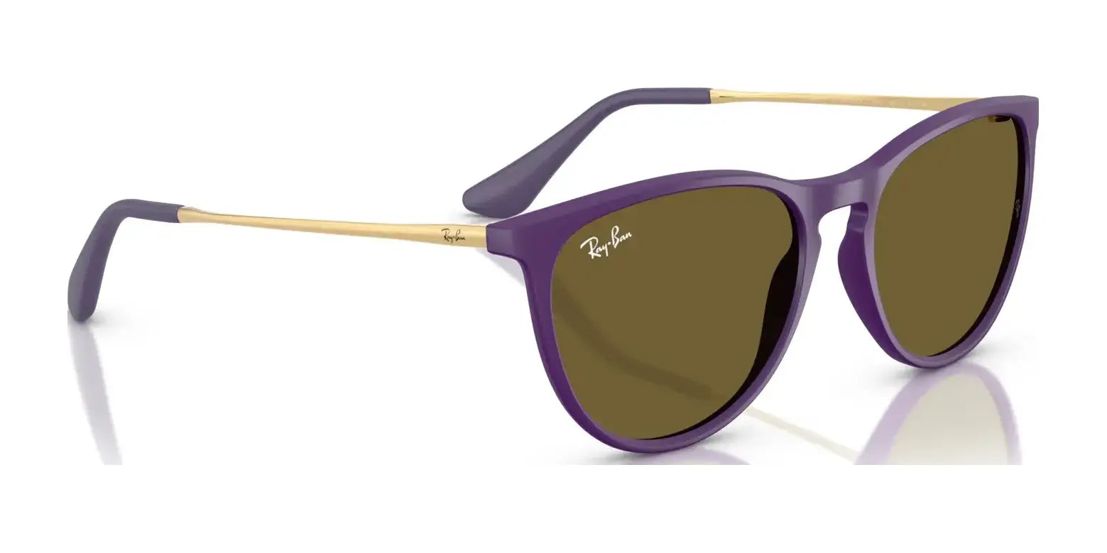 Ray-Ban JUNIOR ERIKA RJ9060SF Sunglasses | Size 52 Ray-Ban JUNIOR ERIKA RJ9060SF Sunglasses | Size 52
