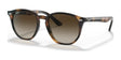Ray-Ban RJ9070S Sunglasses Havana / Brown / Dark Brown Ray-Ban RJ9070S Sunglasses Havana / Brown / Dark Brown