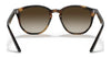 Ray-Ban RJ9070S Sunglasses | Size 46 / Havana №152/13 / Brown/Dark Brown (3N 16%)