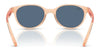 Ray-Ban RJ9080SF Sunglasses | Size 47 / Transparent Blue №716887 / Dark Grey (3N 12.4%)