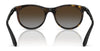 Ray-Ban RJ9082S Sunglasses | Size 47 / Matte Black №718371 / Dark Green (3N 12.9%)