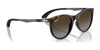 Ray-Ban RJ9082S Sunglasses | Size 47 / Matte Black №718371 / Dark Green (3N 12.9%)