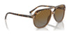 Ray-Ban JUNIOR BILL RJ9096S Sunglasses / Havana On Transparent Brown №7152T5 / Brown/Grey (Polarized) (2P 19%) / Size 49