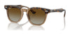 Ray-Ban RJ9098S Sunglasses | Size 45 / Havana On Transparent №7152T5 / Brown (Polarized) (2P 19%)