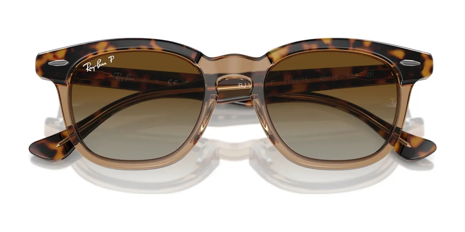 Ray-Ban RJ9098SF Sunglasses | Size 47 Ray-Ban RJ9098SF Sunglasses | Size 47