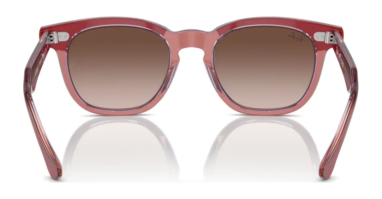 Ray-Ban RJ9098SF Sunglasses | Size 47 Ray-Ban RJ9098SF Sunglasses | Size 47