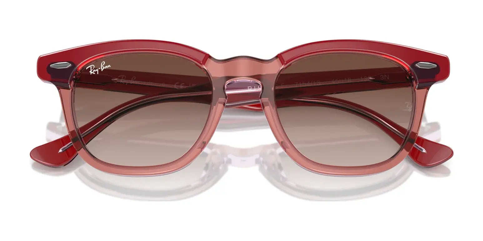 Ray-Ban RJ9098SF Sunglasses | Size 47 Ray-Ban RJ9098SF Sunglasses | Size 47