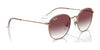 Ray-Ban JUNIOR ROB RJ9572S Sunglasses | Size 48 / Arista Gold №223/71 / Dark Green (3N 12.9%)