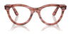 Ray-Ban WAYFARER WAY RX2241VF Eyeglasses | Size 51 / Black №2000