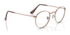 Ray-Ban ROUND METAL RX3447V Eyeglasses / Arista Gold №2500 / Size 47