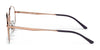 Ray-Ban RX3681V Eyeglasses / Arista Gold №2500 / Size 48