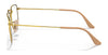 Ray-Ban ELON RX3958V Eyeglasses / Silver №2501 / Clear / Size 47