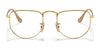 Ray-Ban ELON RX3958V Eyeglasses / Silver №2501 / Clear / Size 47