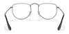 Ray-Ban ELON RX3958V Eyeglasses / Silver №2501 / Clear / Size 47