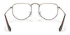 Ray-Ban ELON RX3958V Eyeglasses / Silver №2501 / Clear / Size 47