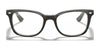 Ray-Ban RX5285 Eyeglasses | Size 53 / Black On Transparent №2034
