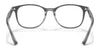 Ray-Ban RX5356 Eyeglasses | Size 52 / Black On Transparent №2034
