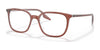 Ray-Ban RX5406 Eyeglasses / Brown On Transparent №8171 / Size 52