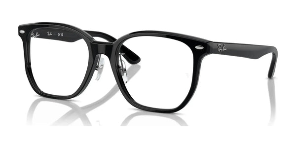 Ray-Ban RX5425D Eyeglasses | Size 54 / Black №2000