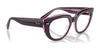 Ray-Ban DOREEN RX5586 Eyeglasses / Black On Transparent №2034 / Size 48