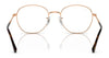 Ray-Ban RX6509 Eyeglasses / Arista Gold №2500 / Size 51
