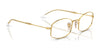 Ray-Ban RX6510 Eyeglasses / Arista Gold №2500 / Size 50