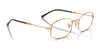 Ray-Ban RX6510 Eyeglasses / Arista Gold №2500 / Size 50