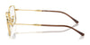 Ray-Ban RX6520 Eyeglasses / Arista Gold №2500 / Size 53