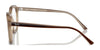 Ray-Ban ALICE RX7238 Eyeglasses / Black №2000 / Size 50