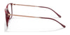 Ray-Ban RX7244 Eyeglasses | Size 51 / Red Cherry №8099 / Clear