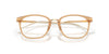 Ray-Ban RX7247D Eyeglasses | Size 51 / Black №5753