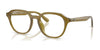 Ray-Ban RX7259D Eyeglasses | Size 52 / Transparent Olive Green №8437