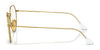 Ray-Ban RX8165V Eyeglasses | Size 49 / Gold №1225
