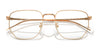 Ray-Ban RX8776D Eyeglasses | Size 53 / Black №1244