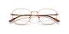Ray-Ban RX8777D Eyeglasses | Size 53 / Black №1244