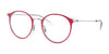Ray-Ban RY1053 Eyeglasses | Size 45 / Red On Silver №4066