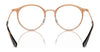 Ray-Ban RY1053 Eyeglasses | Size 45 / Red On Silver №4066