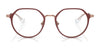 Ray-Ban RY1058 Eyeglasses / Black On Gold №4086 / Size 47