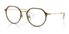 Ray-Ban RY1058 Eyeglasses / Brown On Gold №4078 / Size 45