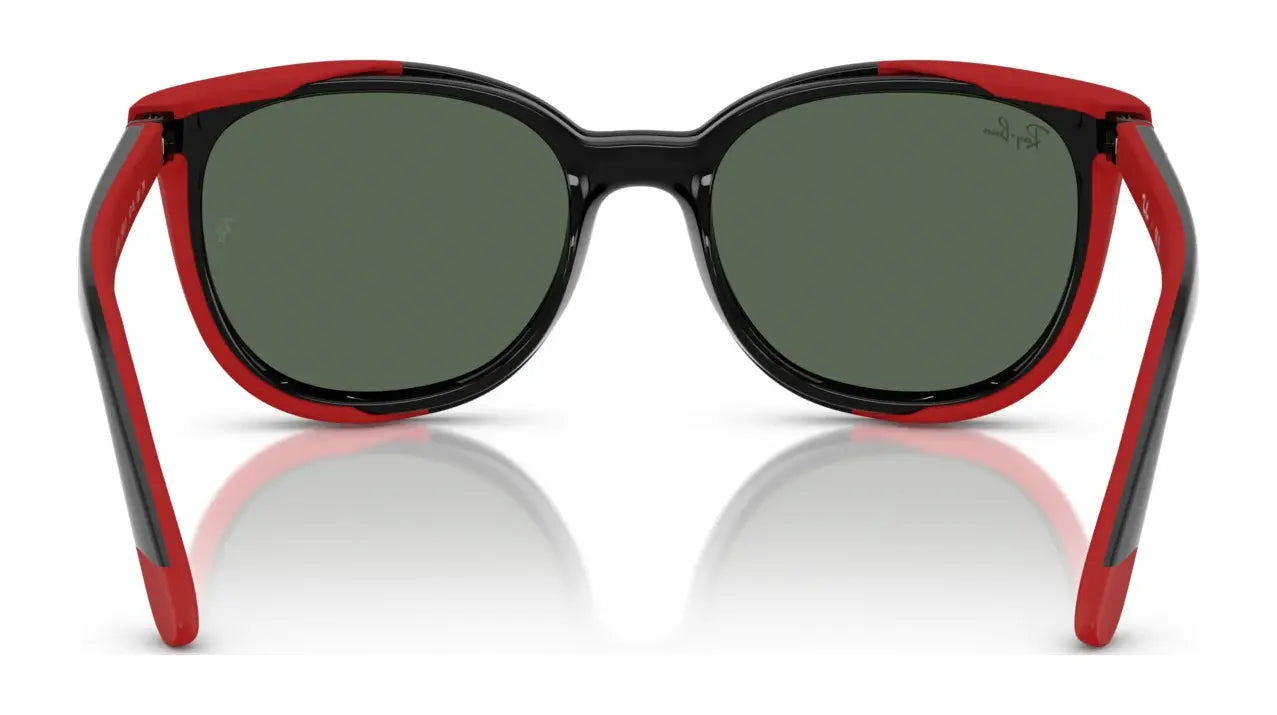 Ray-Ban RY1631C Clip-On Sunglasses Ray-Ban RY1631C Clip-On Sunglasses