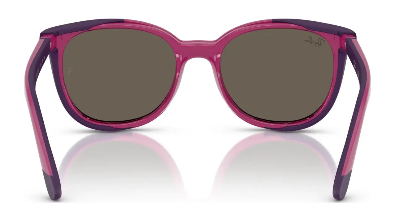 Ray-Ban RY1631C Clip-On Sunglasses Ray-Ban RY1631C Clip-On Sunglasses