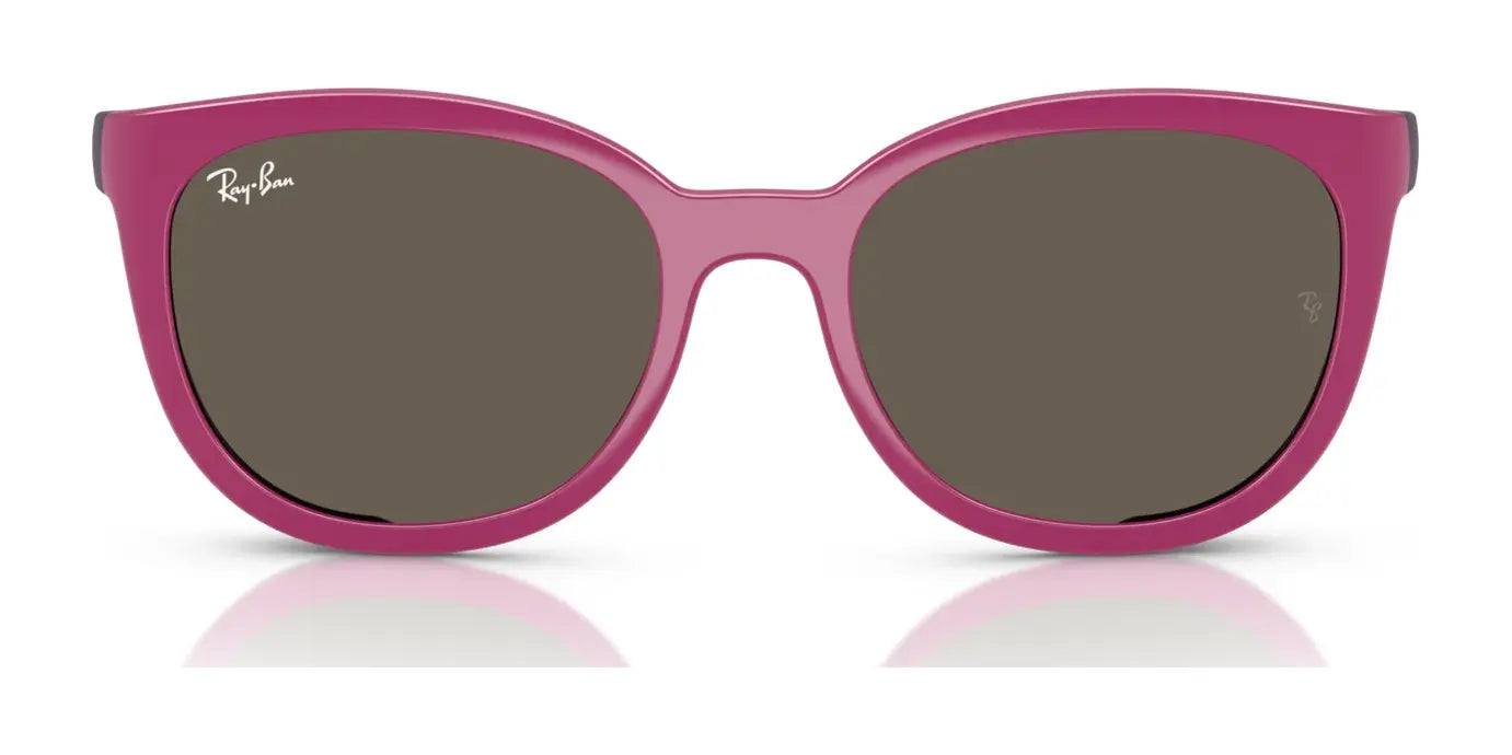 Ray-Ban RY1631C Clip-On Sunglasses Ray-Ban RY1631C Clip-On Sunglasses